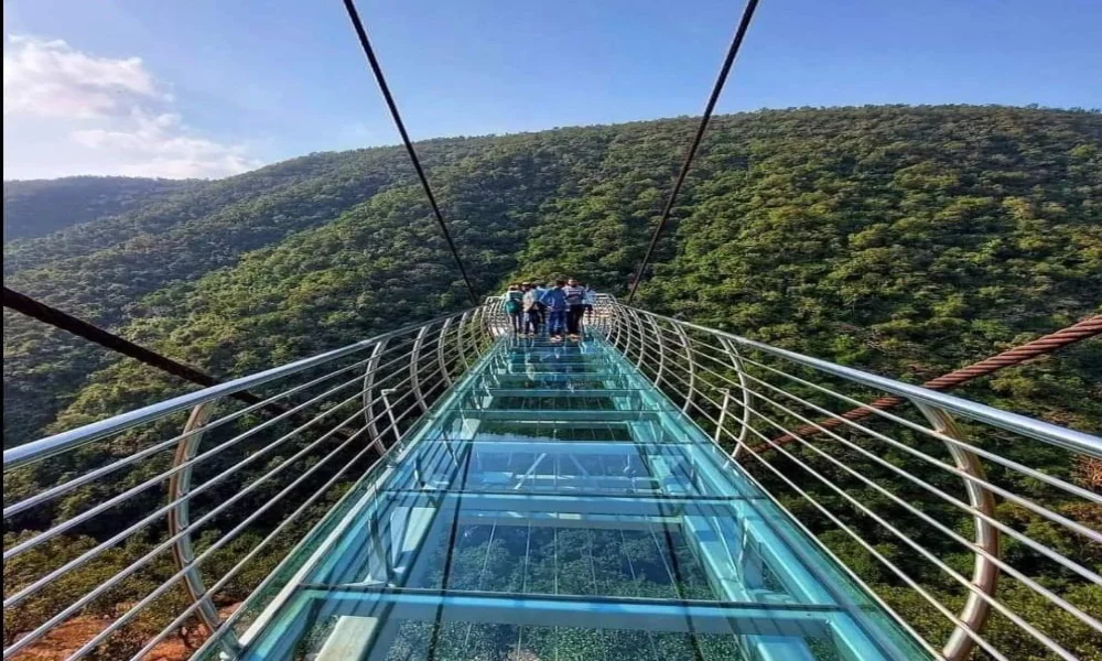 Rajgir : 2000 पर्यटकों की दैनिक क्षमता के लक्ष्य के साथ राजगीर को विश्वस्तरीय पर्यटन हब बनाने की तैयारी तेज 1 image 7 KhabarX